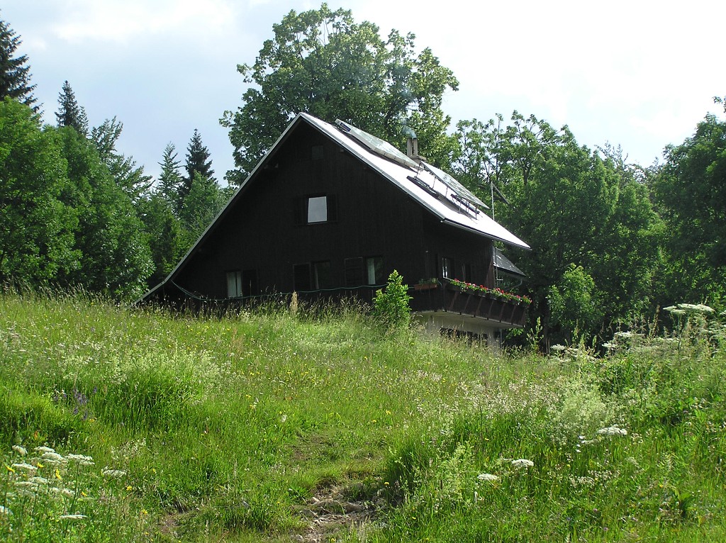 img00169.jpg