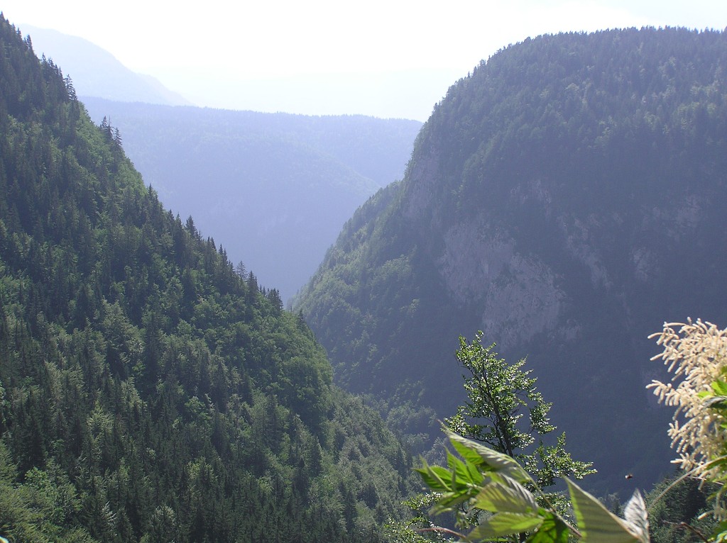 img00170.jpg