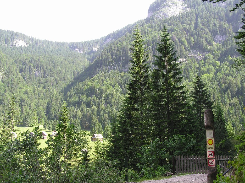 img00171.jpg