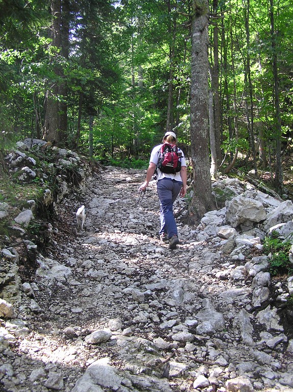 img00173.jpg