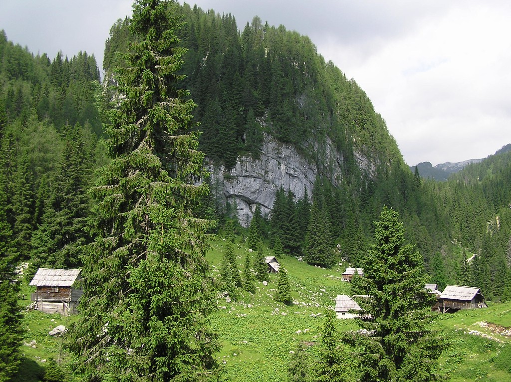 img00174.jpg