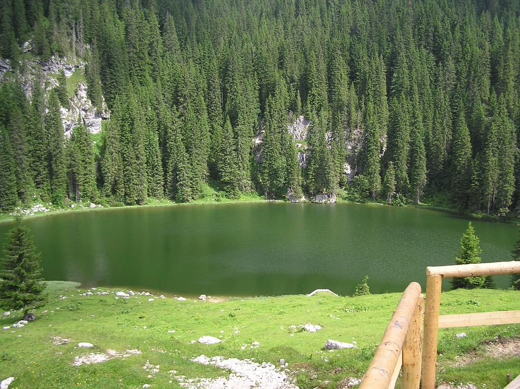 img00175.jpg