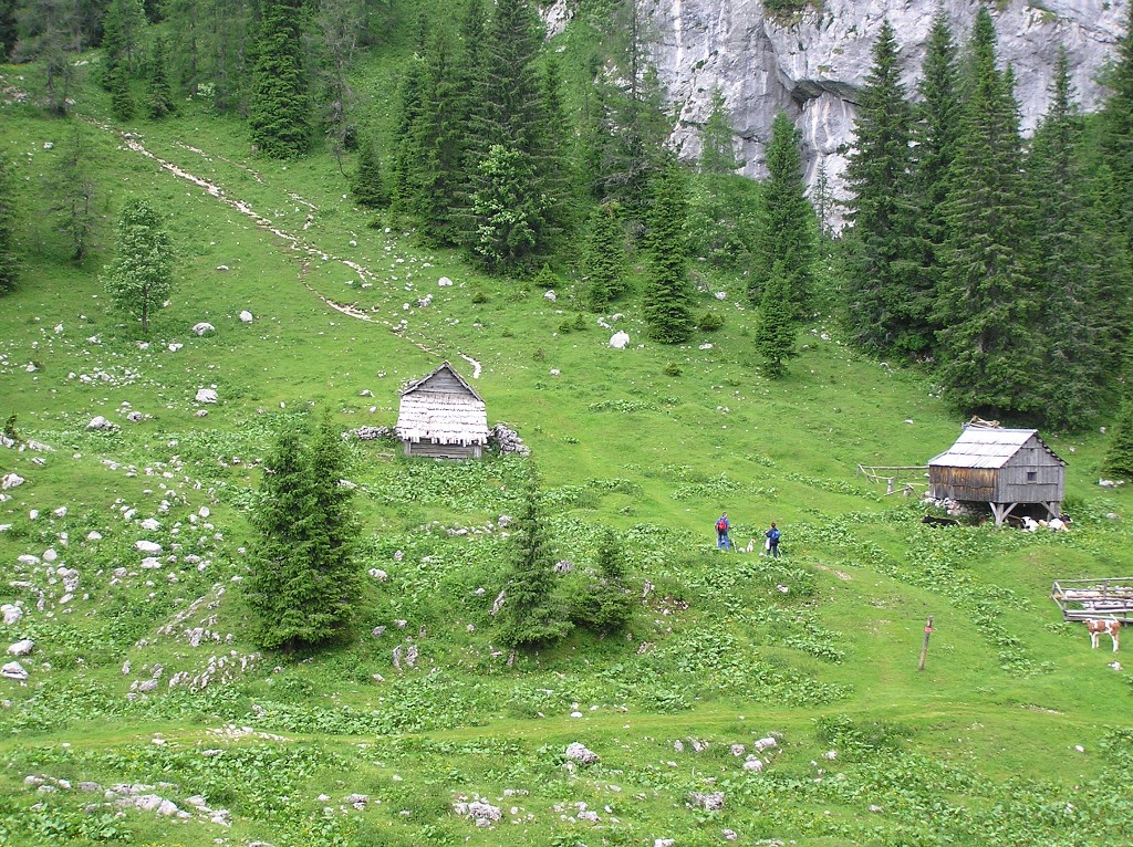 img00176.jpg