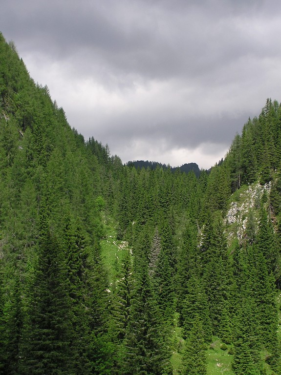 img00177.jpg