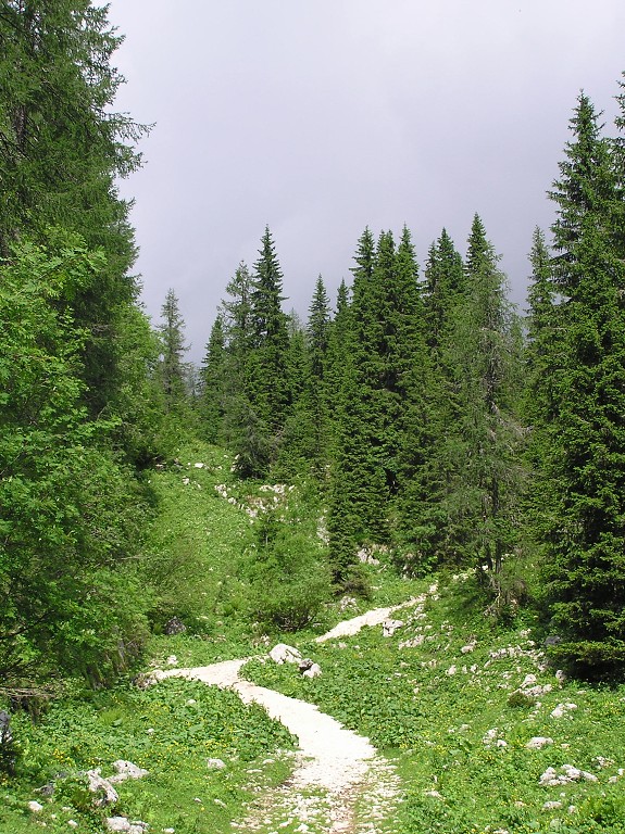 img00178.jpg