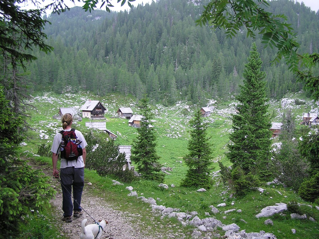 img00180.jpg