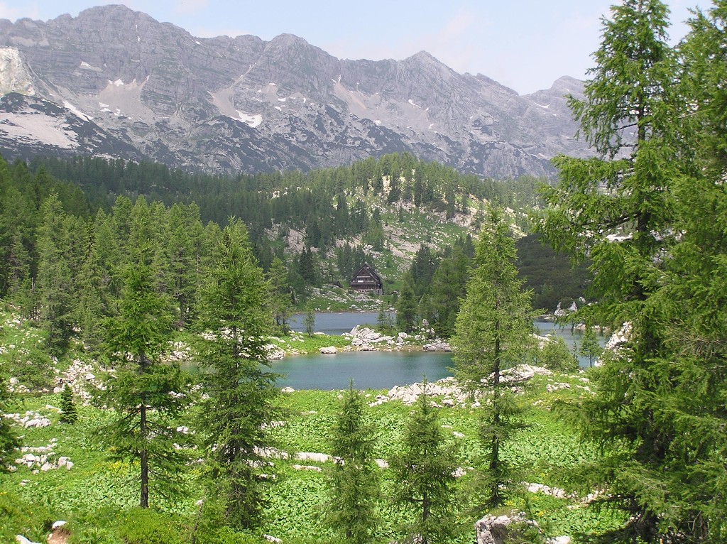img00187.jpg