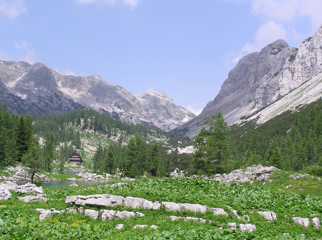 img00188.jpg