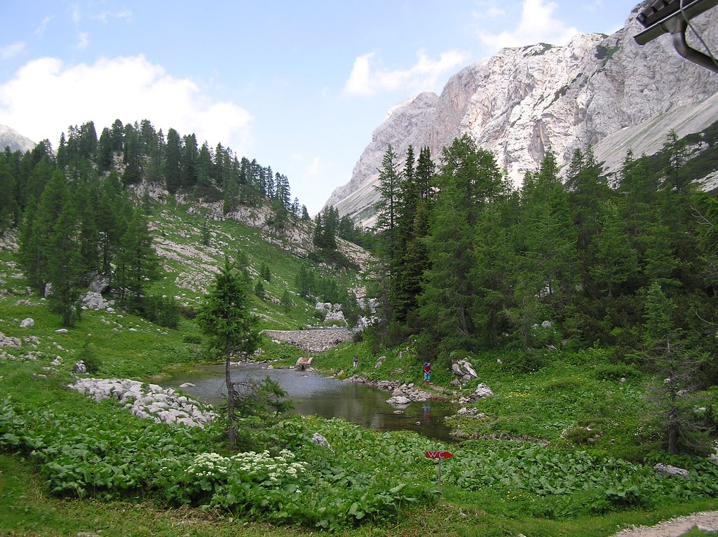 img00191.jpg