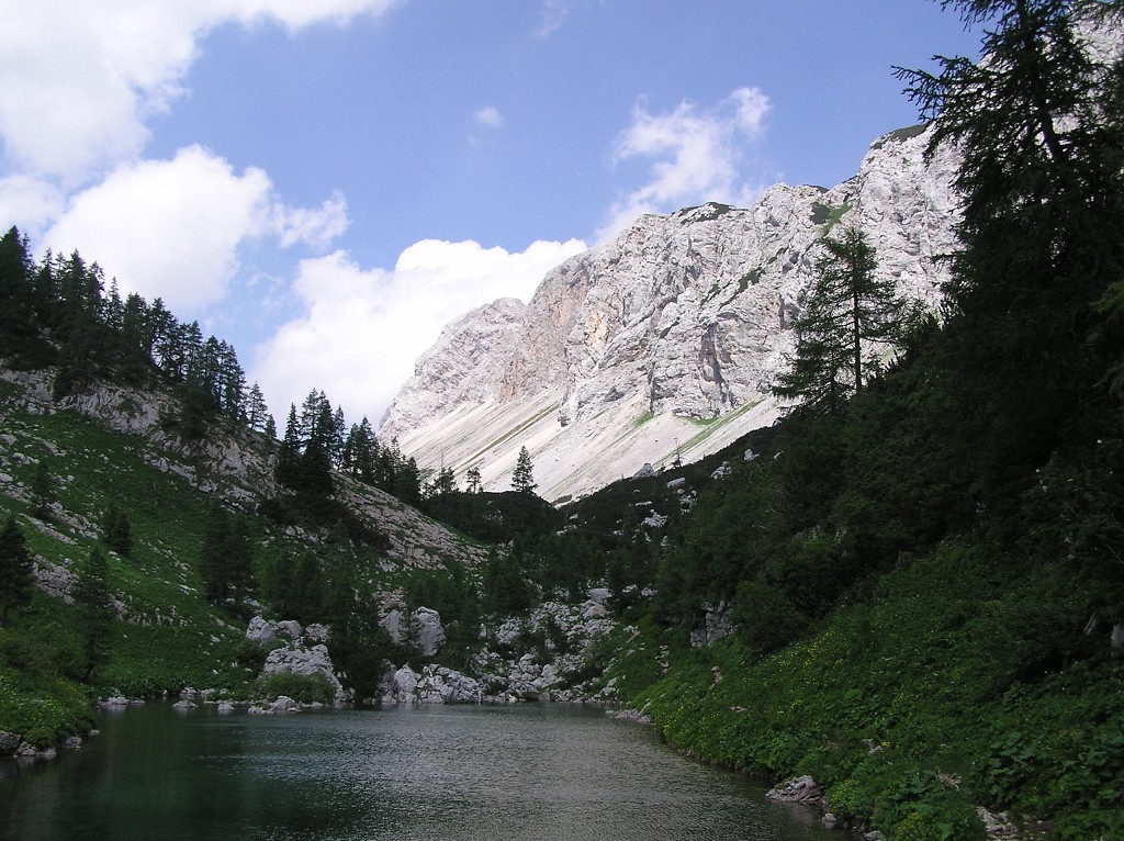 img00193.jpg