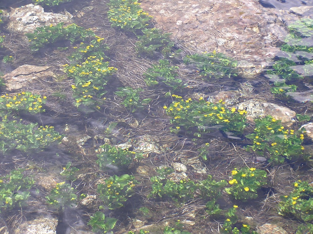 img00194.jpg