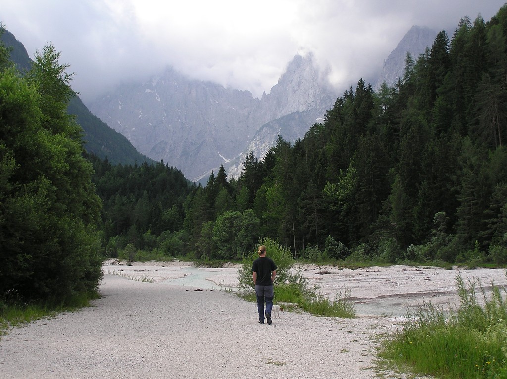 img00195.jpg