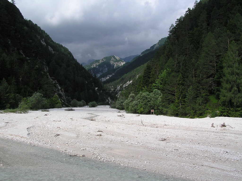 img00196.jpg
