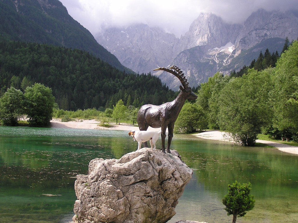 img00197.jpg