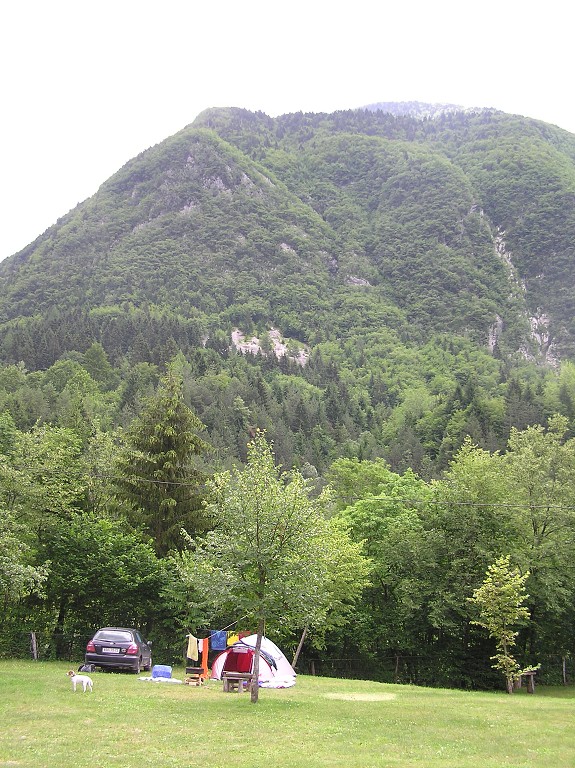 img00202.jpg
