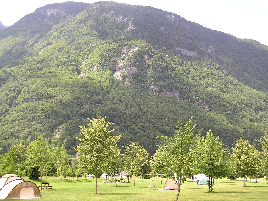 img00203.jpg