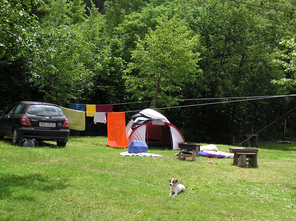 img00204.jpg