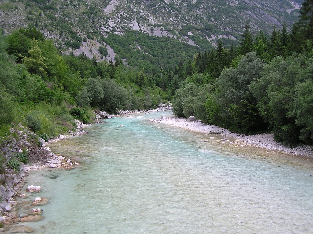 img00205.jpg