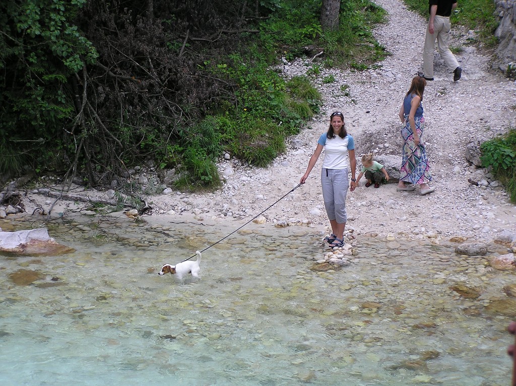img00206.jpg