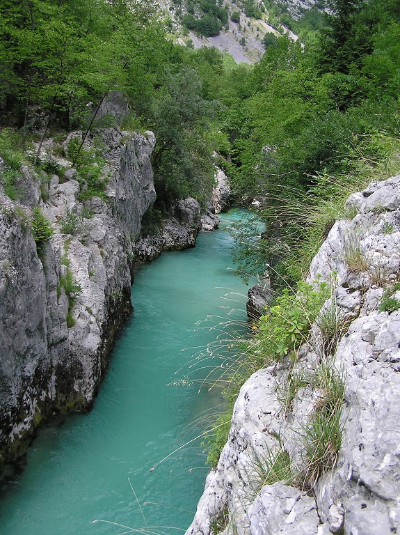 img00207.jpg