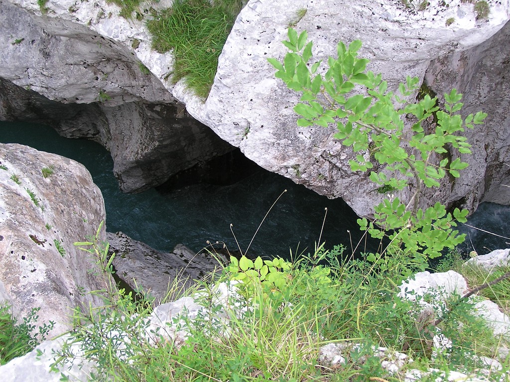 img00214.jpg