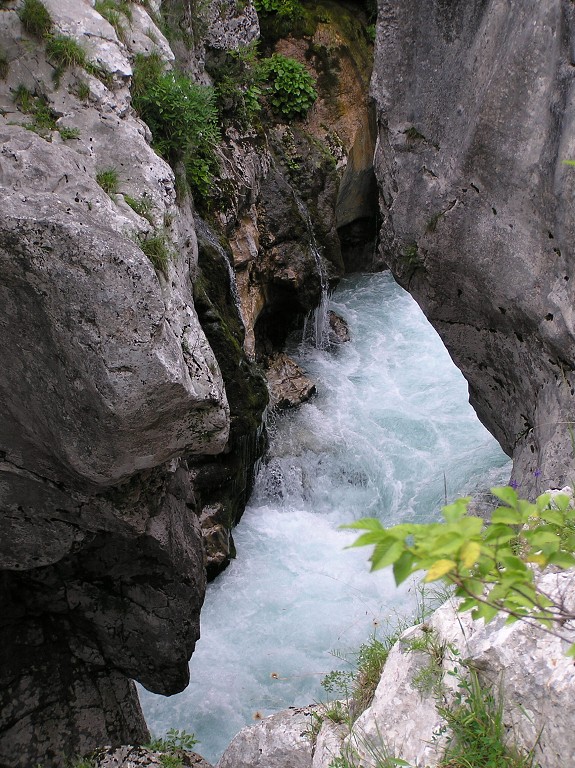 img00215.jpg