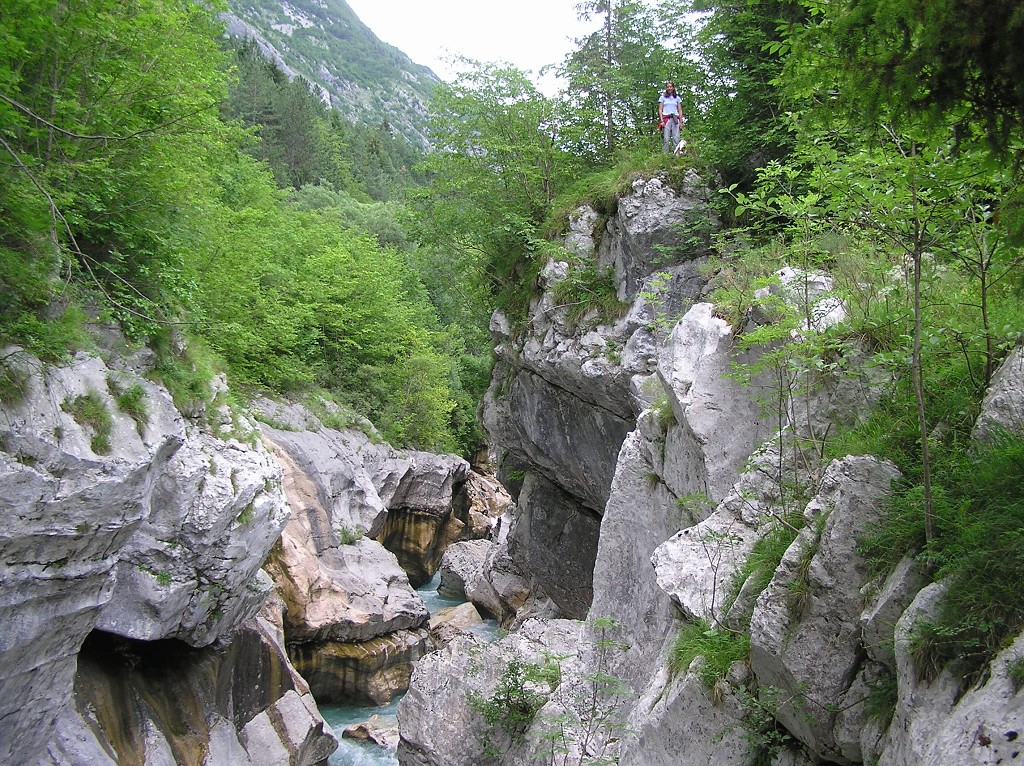 img00218.jpg