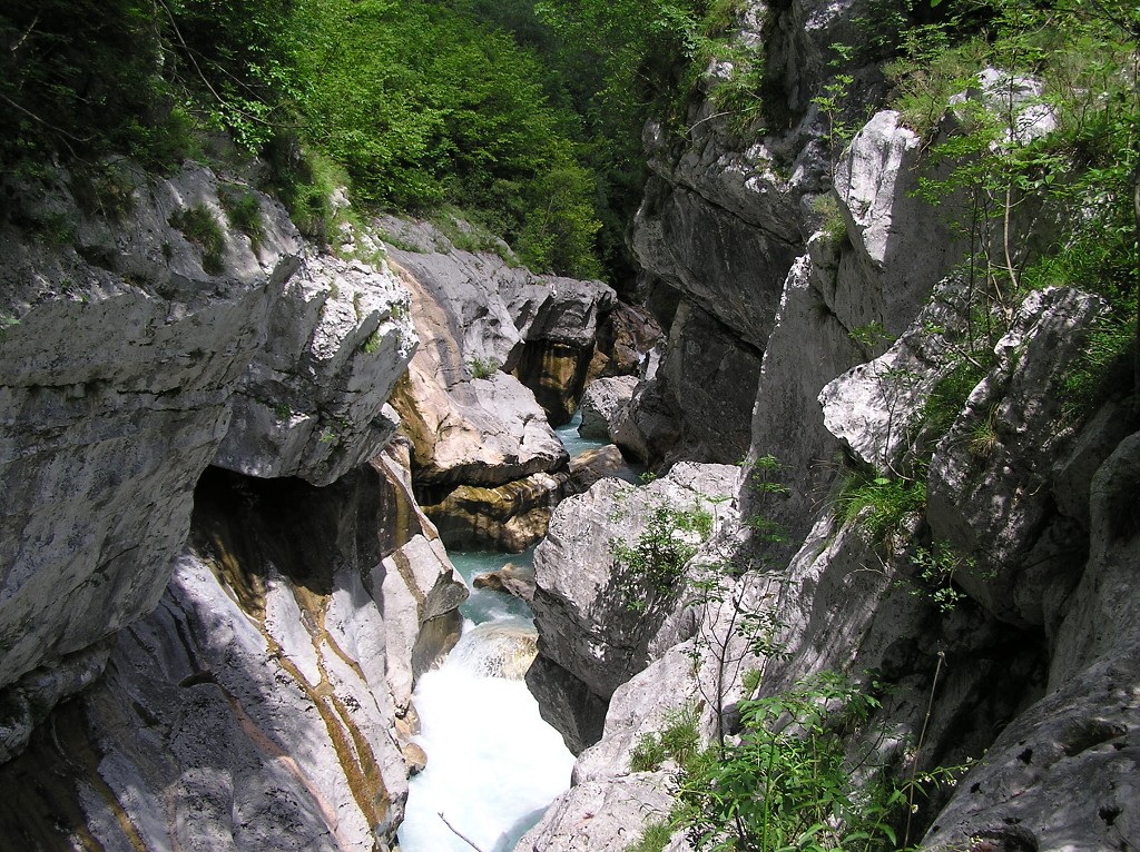 img00219.jpg