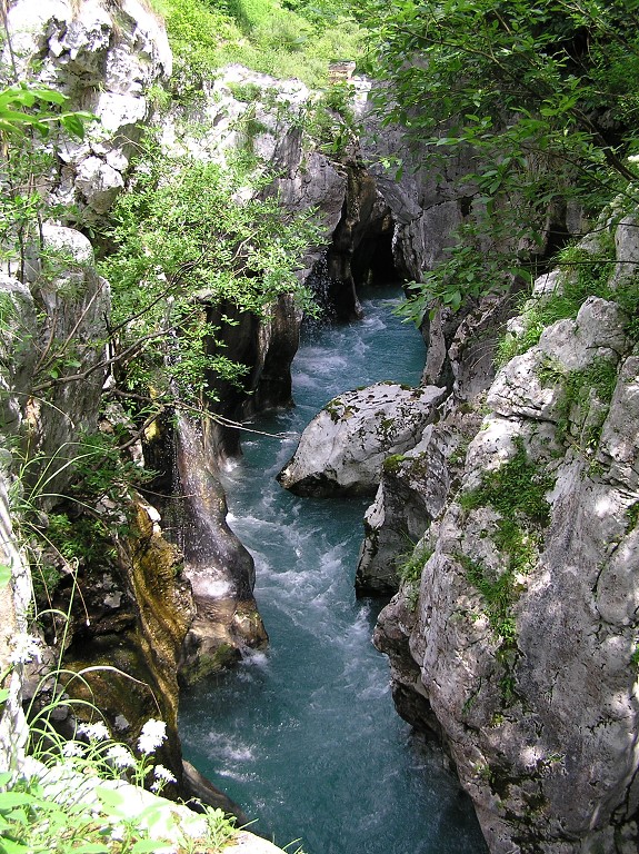 img00221.jpg
