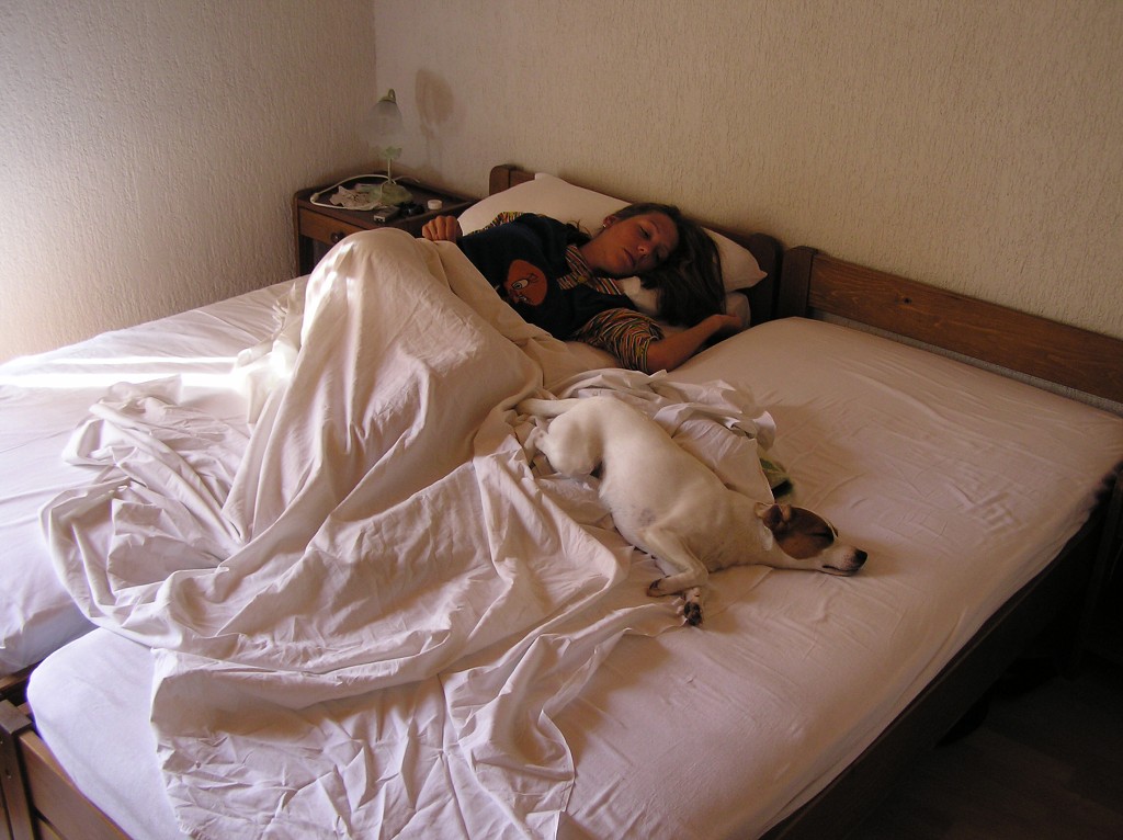img00228.jpg