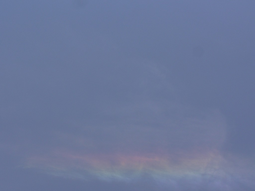 img00229.jpg