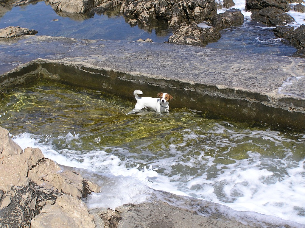 img00236.jpg