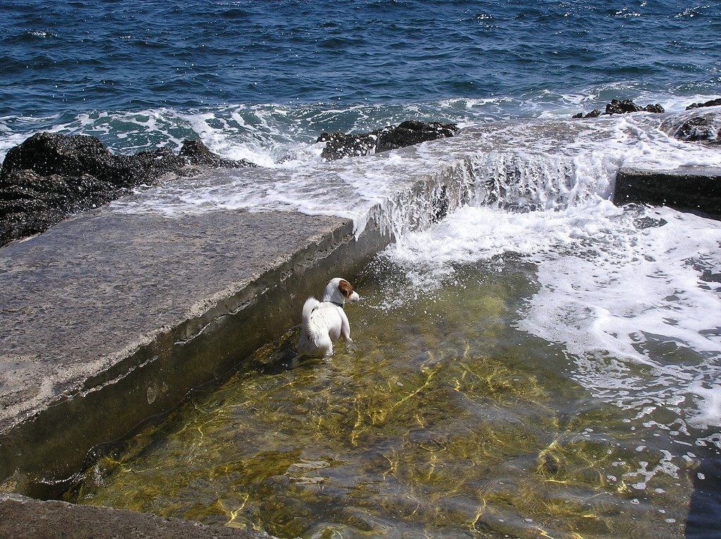 img00237.jpg