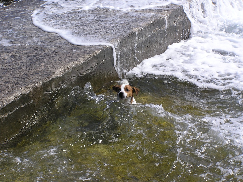 img00238.jpg