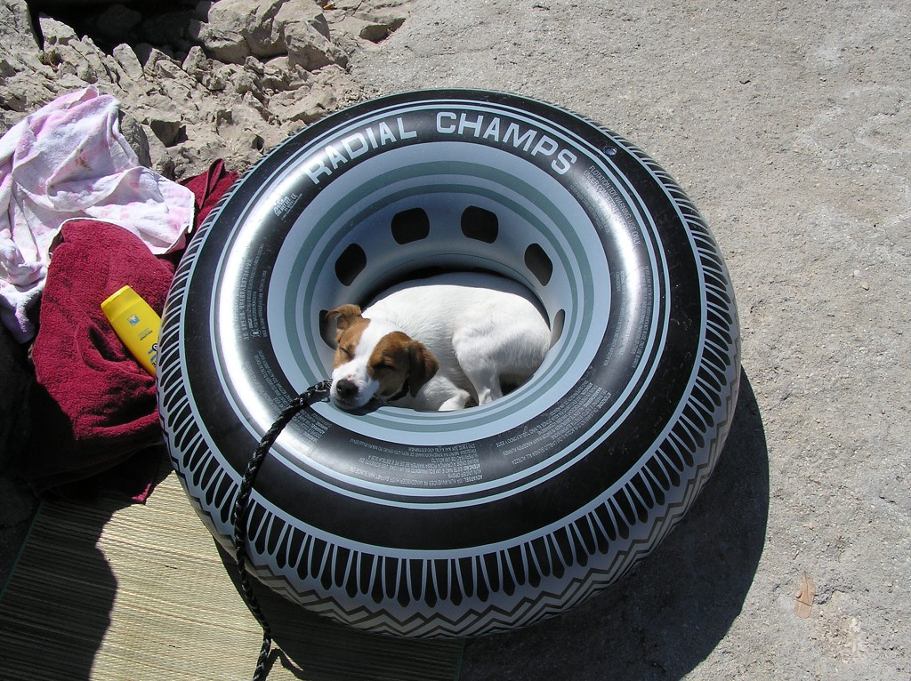 img00243.jpg