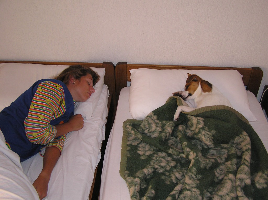 img00247.jpg