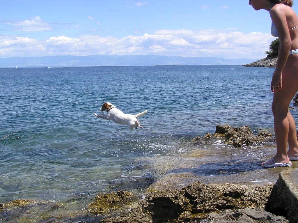 img00250.jpg