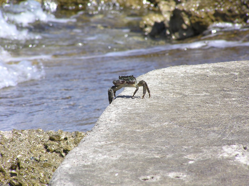 img00251.jpg