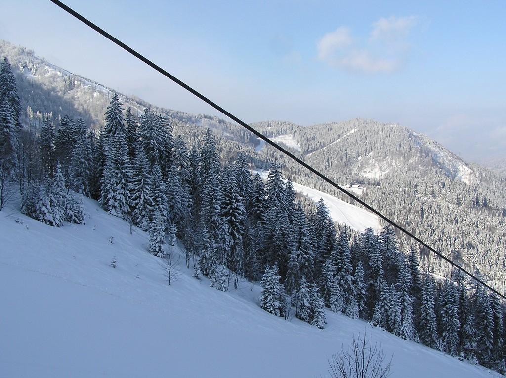 img00003.jpg