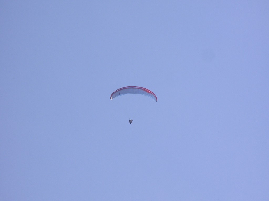 img00008.jpg