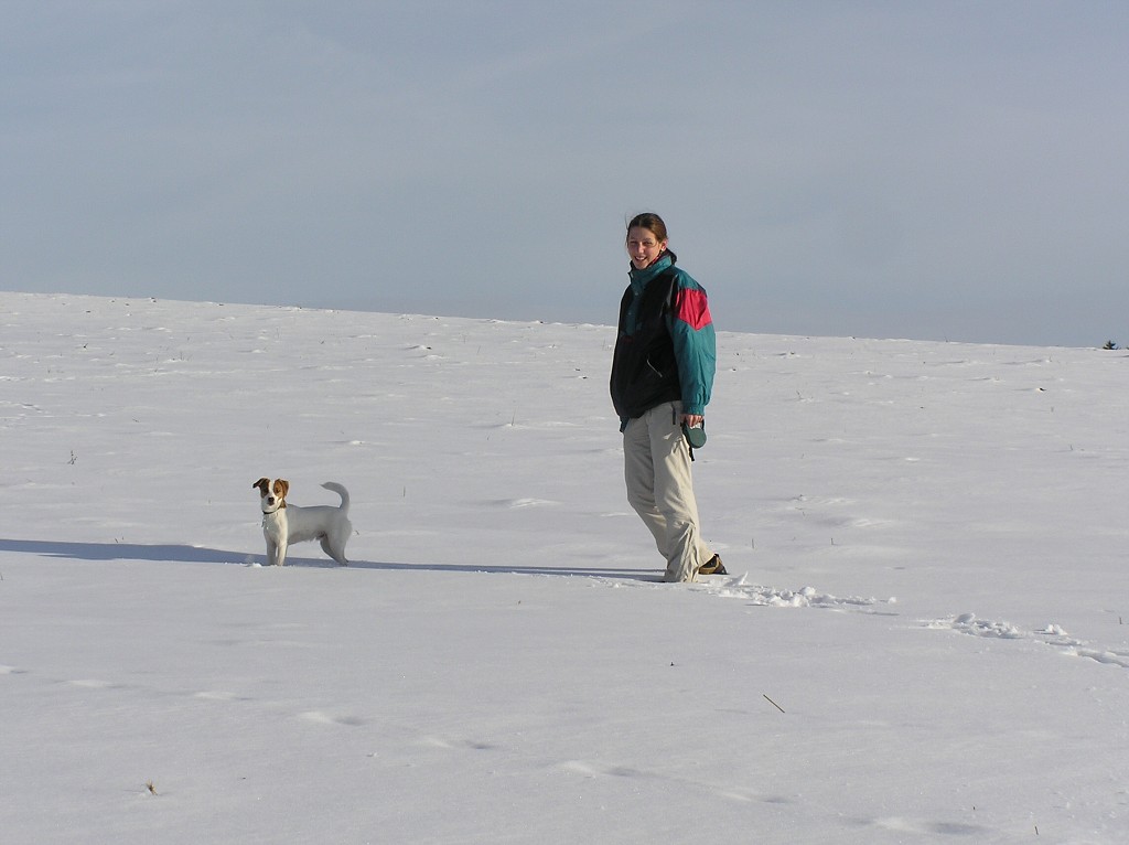 img00006.jpg