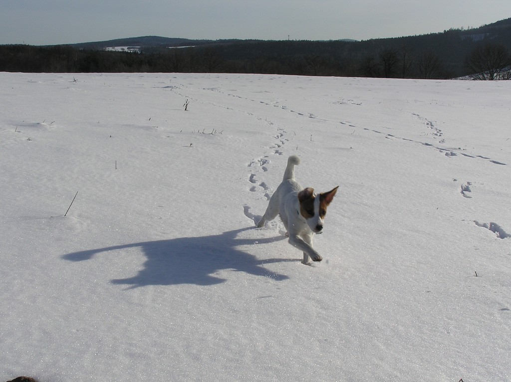 img00007.jpg