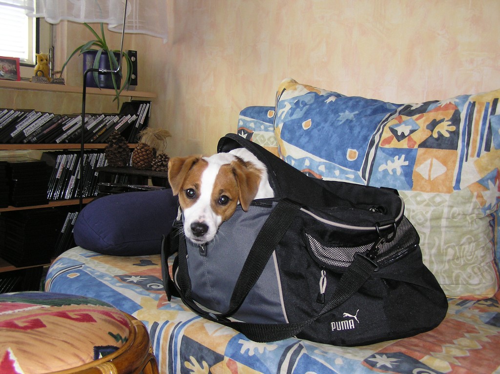 img00013.jpg