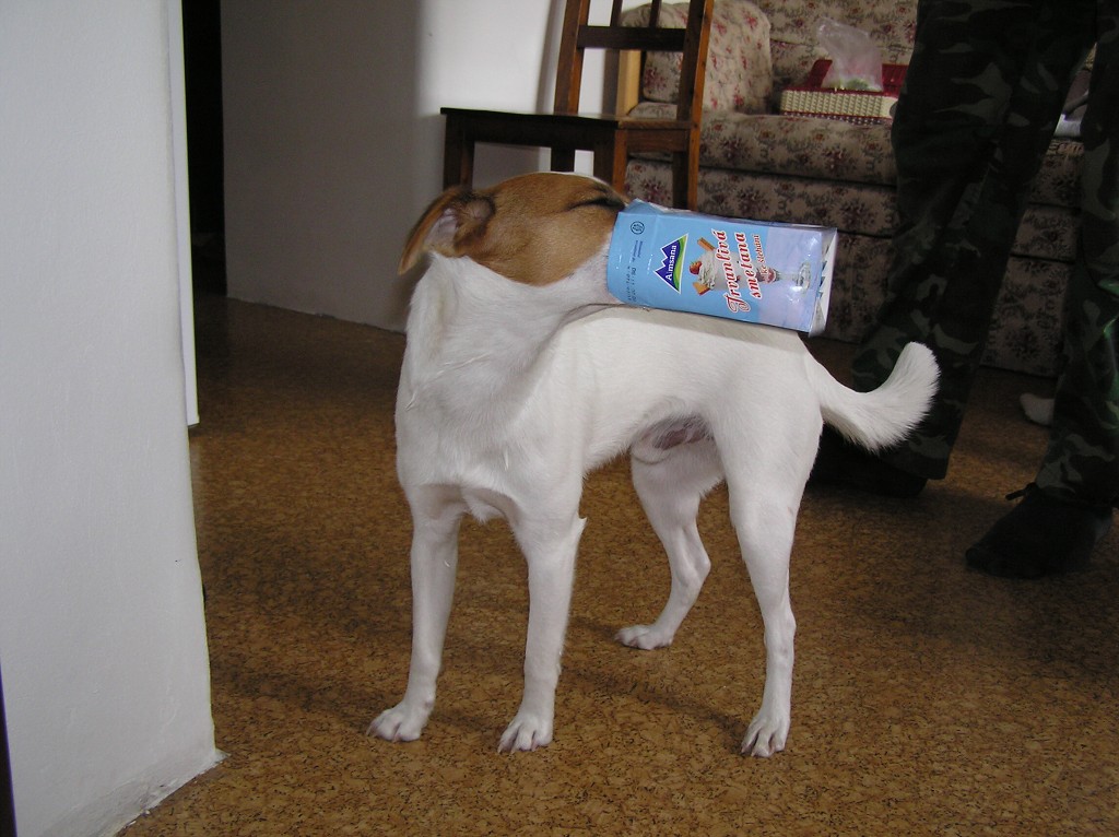img00014.jpg