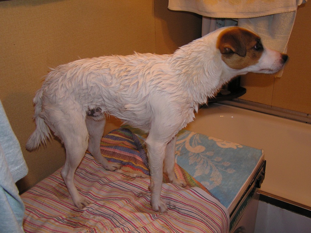 img00015.jpg