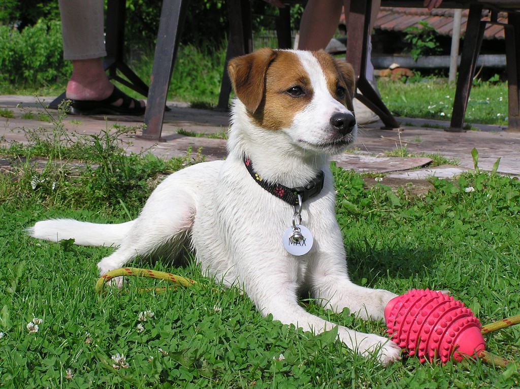img00019.jpg