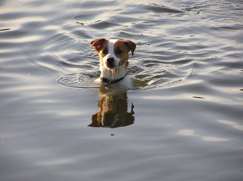 img00024.jpg