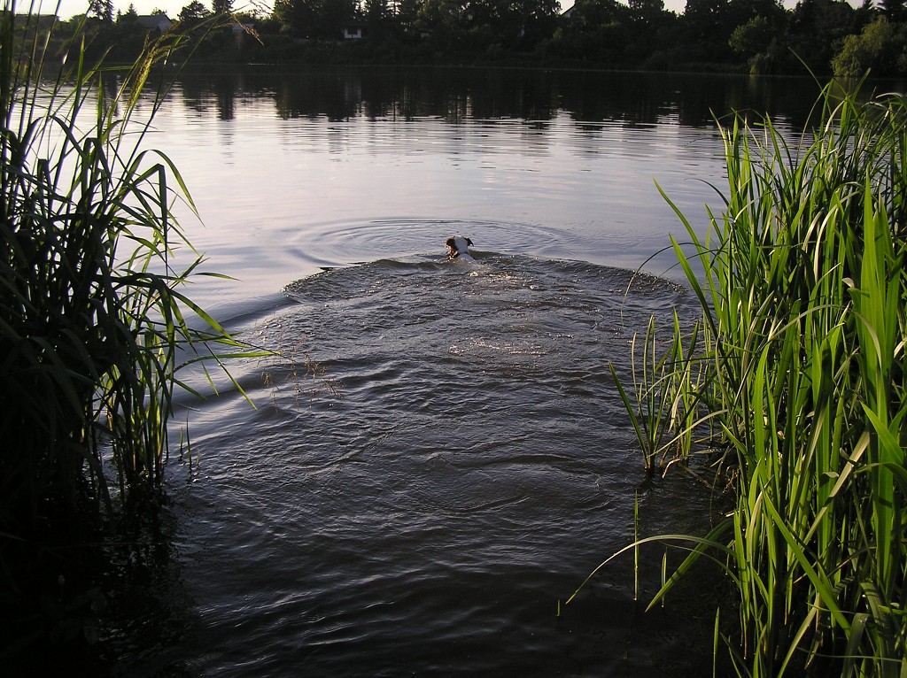 img00025.jpg