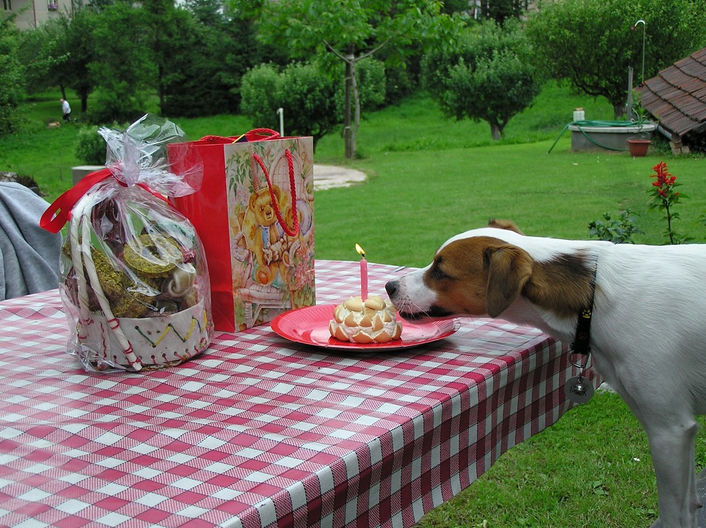img00028.jpg