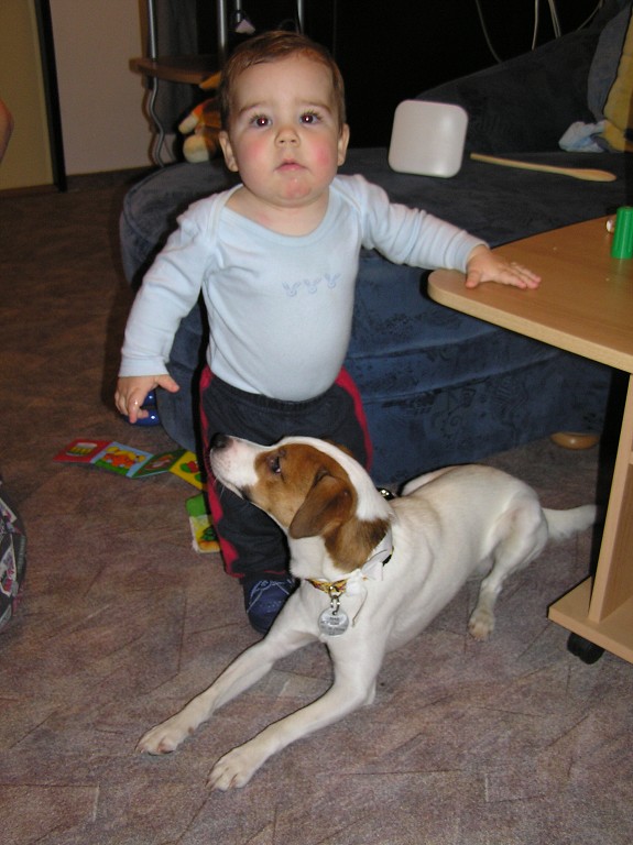 img00005.jpg